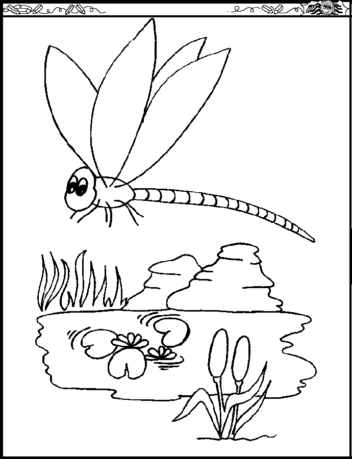 Dragonfly Pictures To Color