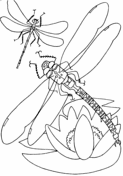 Dragonfly Pictures To Color