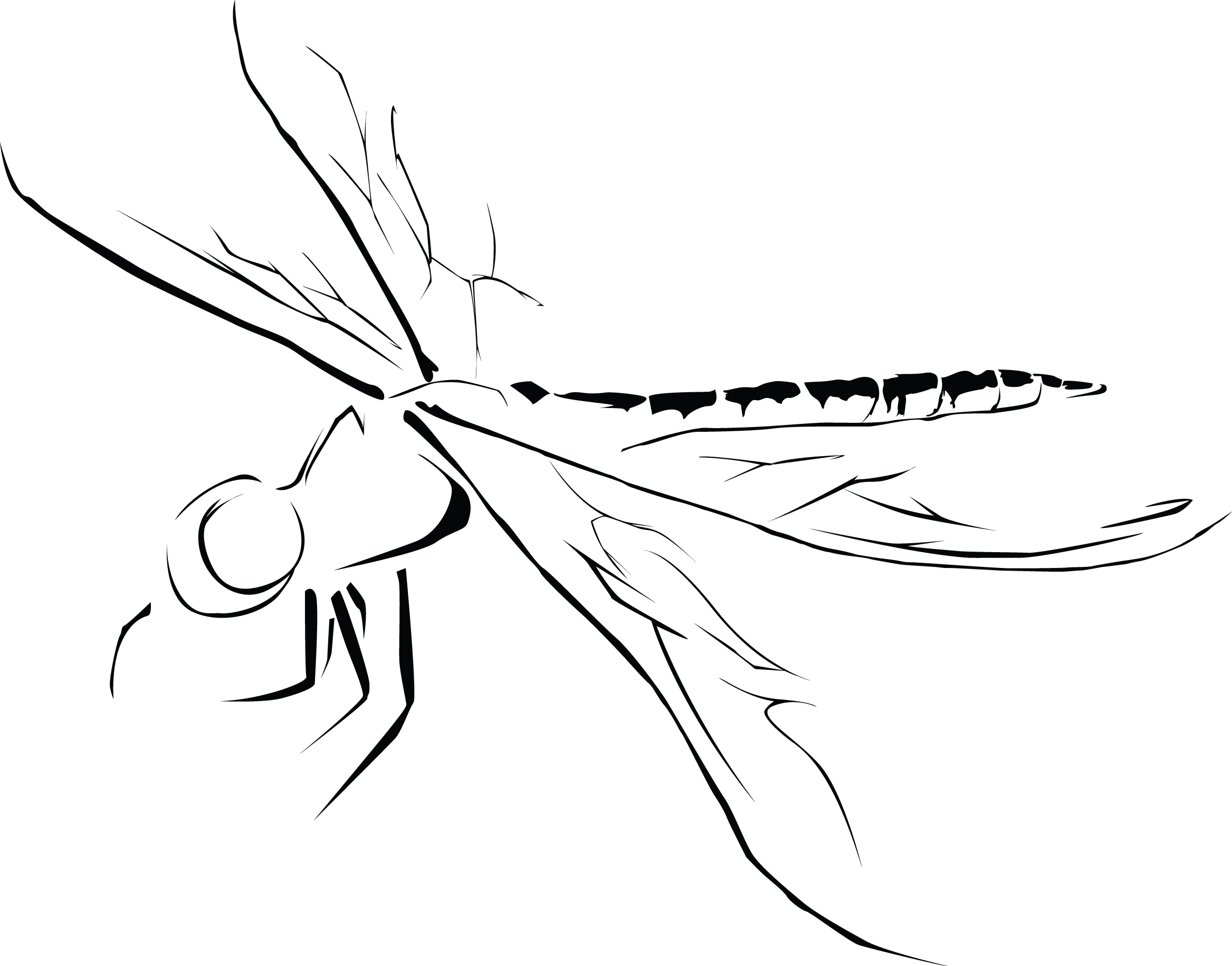 Dragonfly Tattoo Art