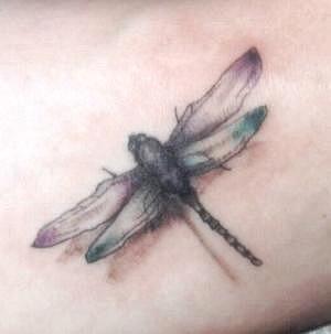 Dragonfly Tattoo Designs For Girls