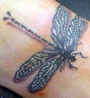 Dragonfly Tattoo Designs On Foot