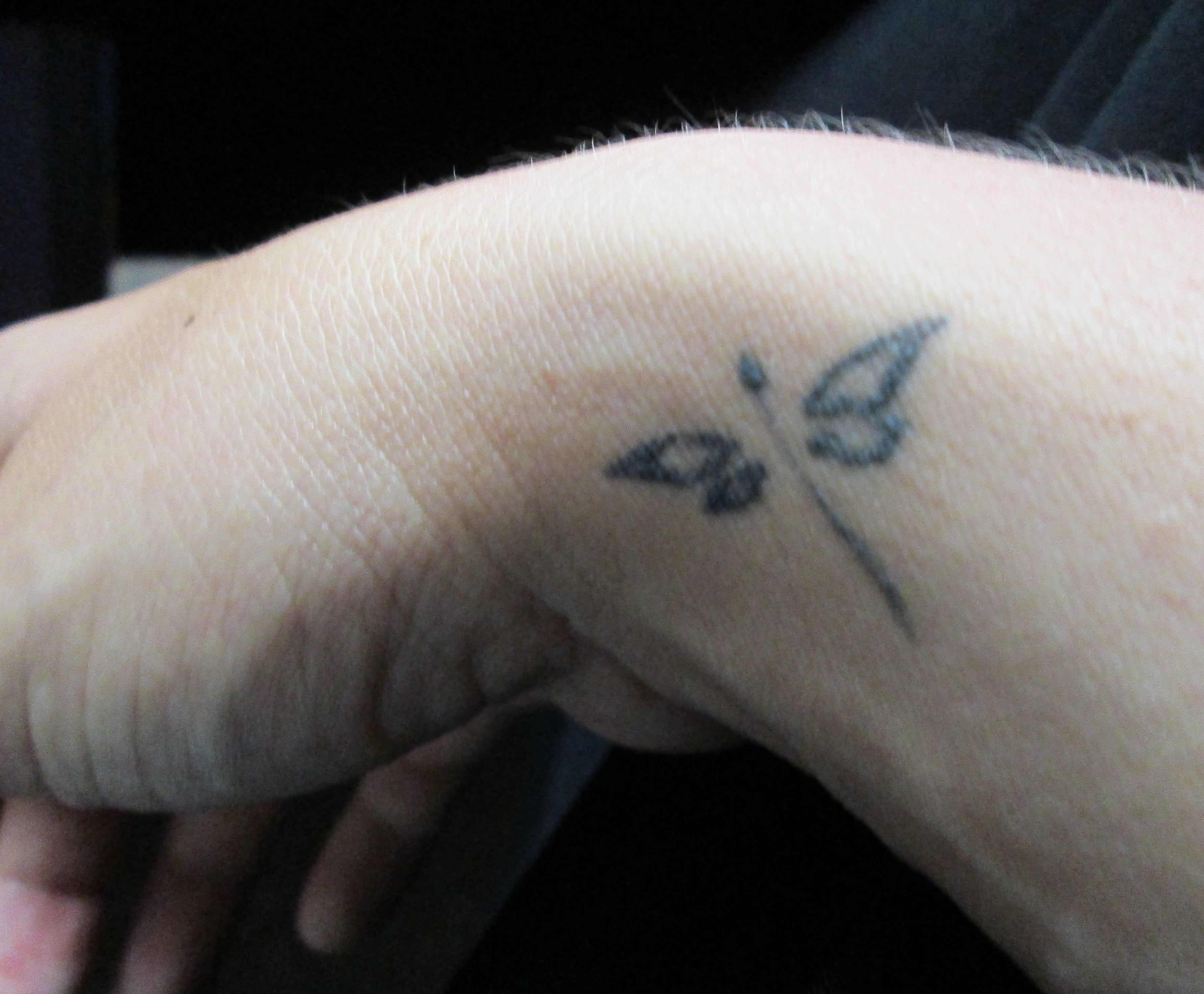 Dragonfly Tattoo On Wrist