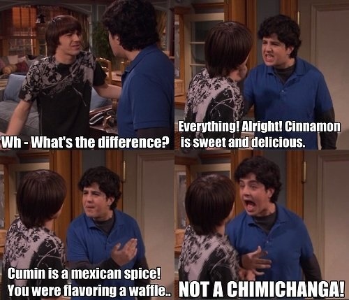 Drake And Josh Quotes Funny