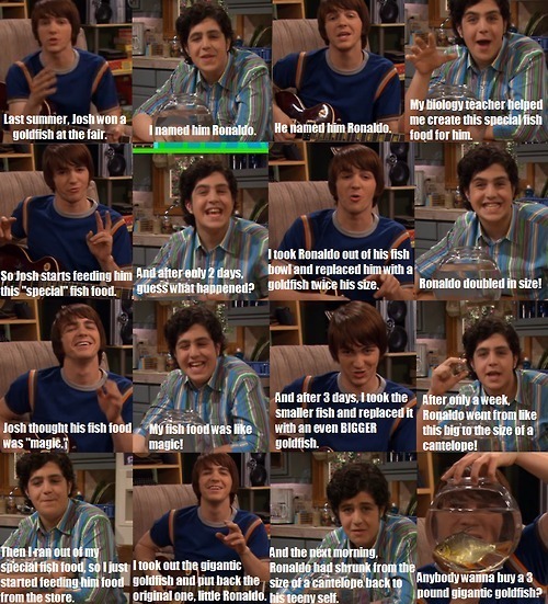 Drake And Josh Quotes Tumblr