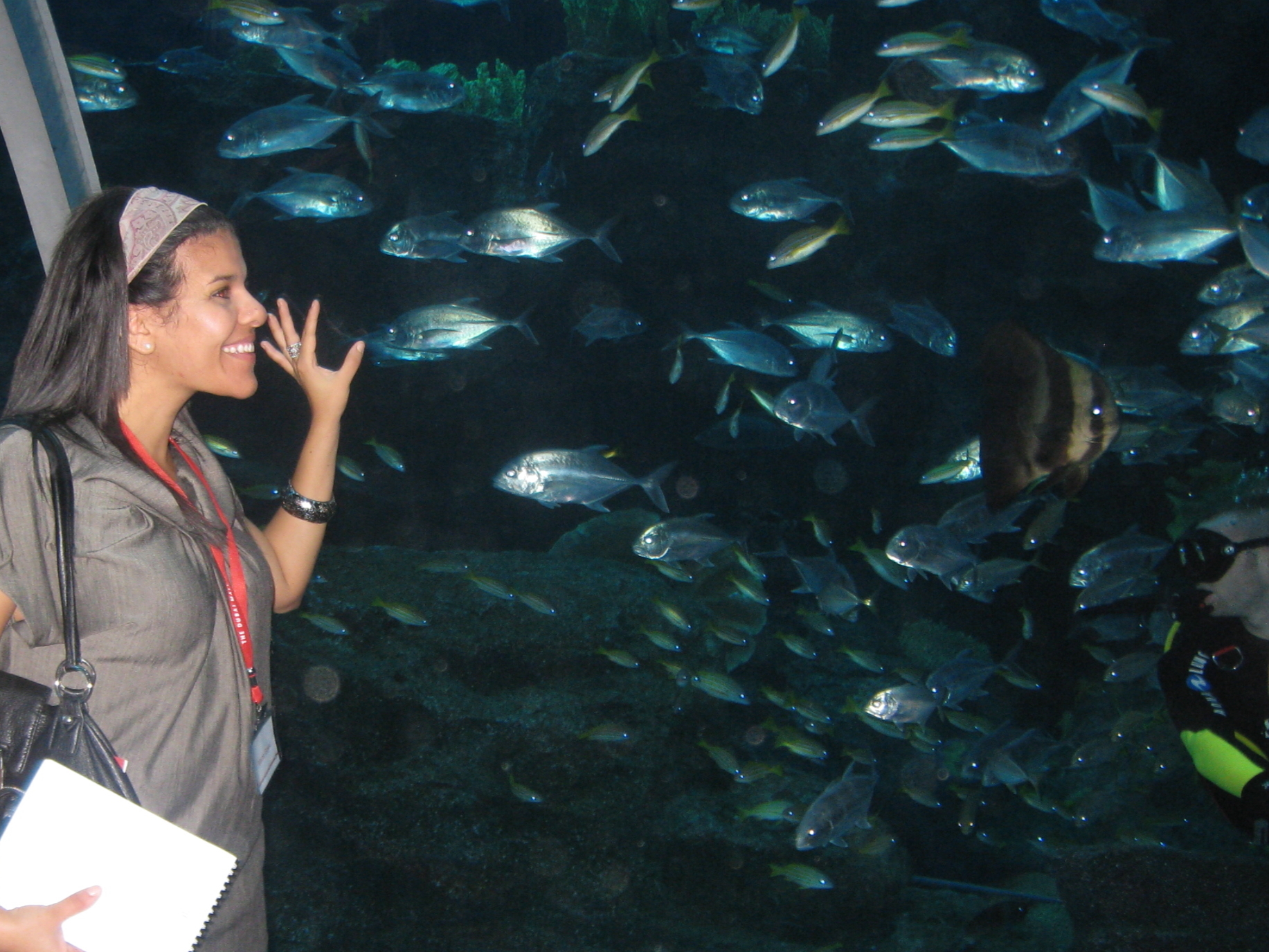 Dubai Mall Aquarium