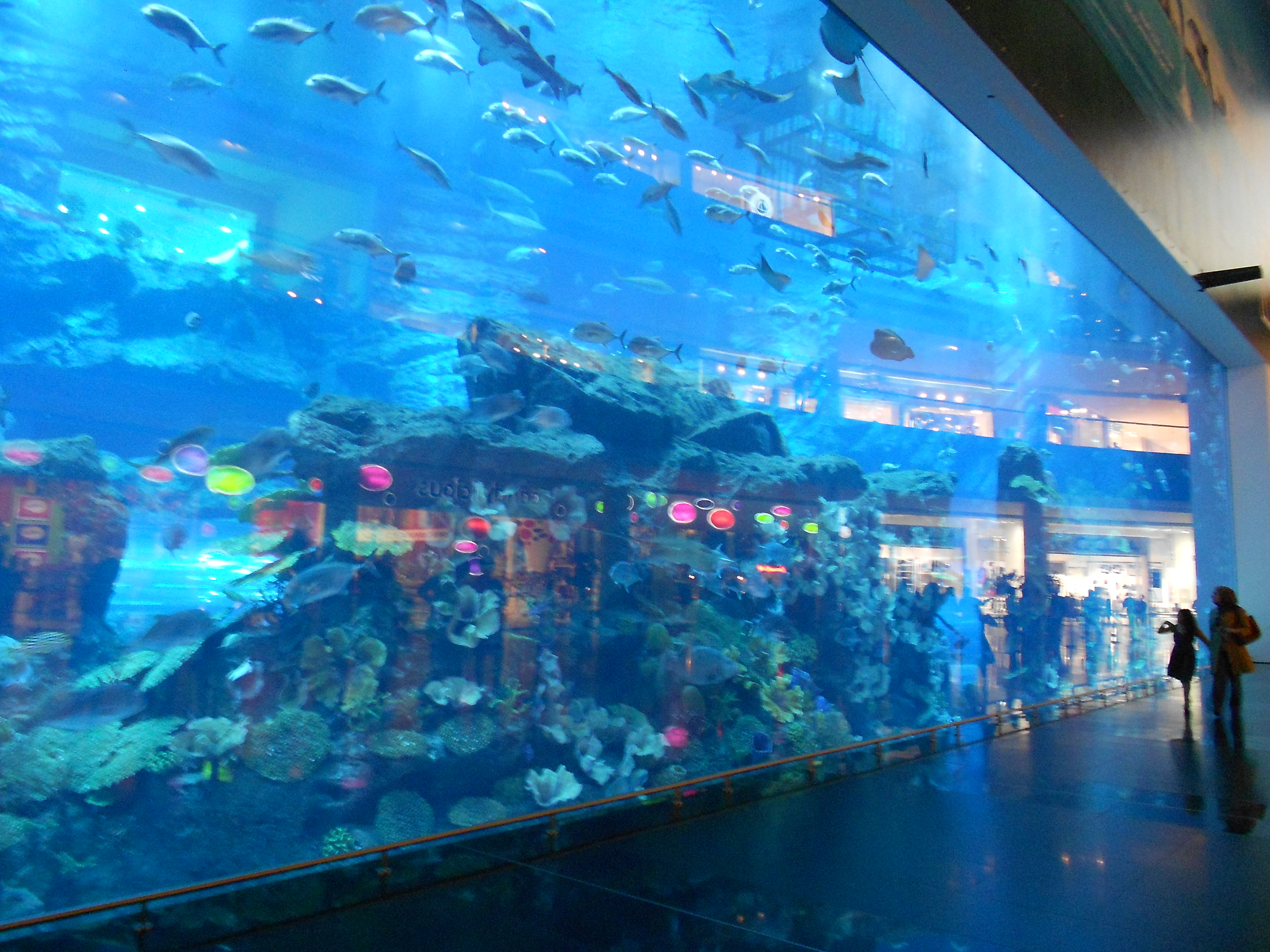 Dubai Mall Aquarium