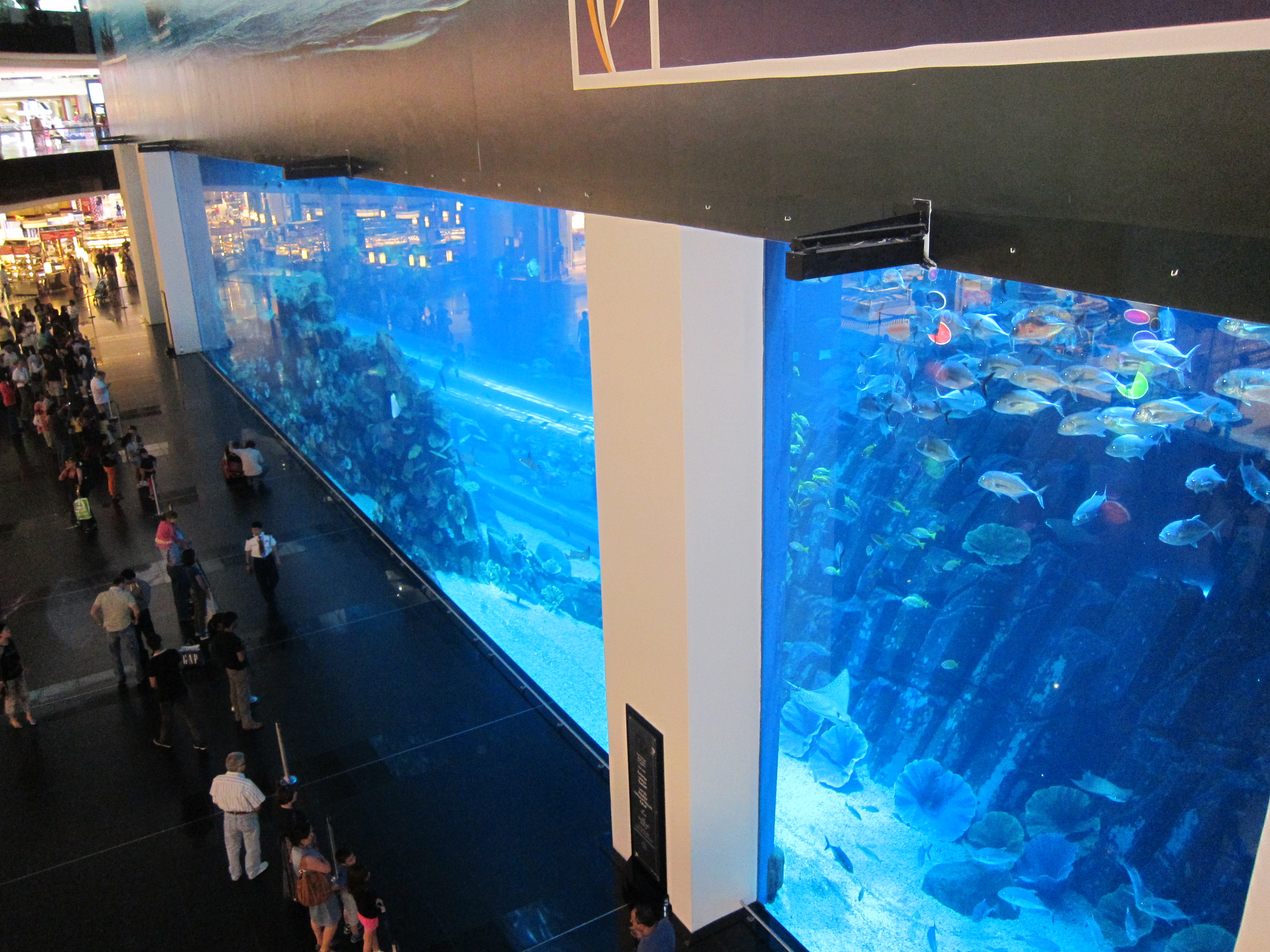 Dubai Mall Aquarium Breaks