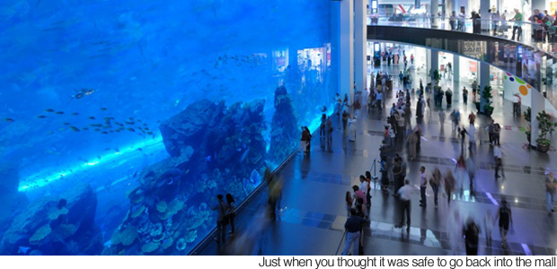 Dubai Mall Aquarium Broke