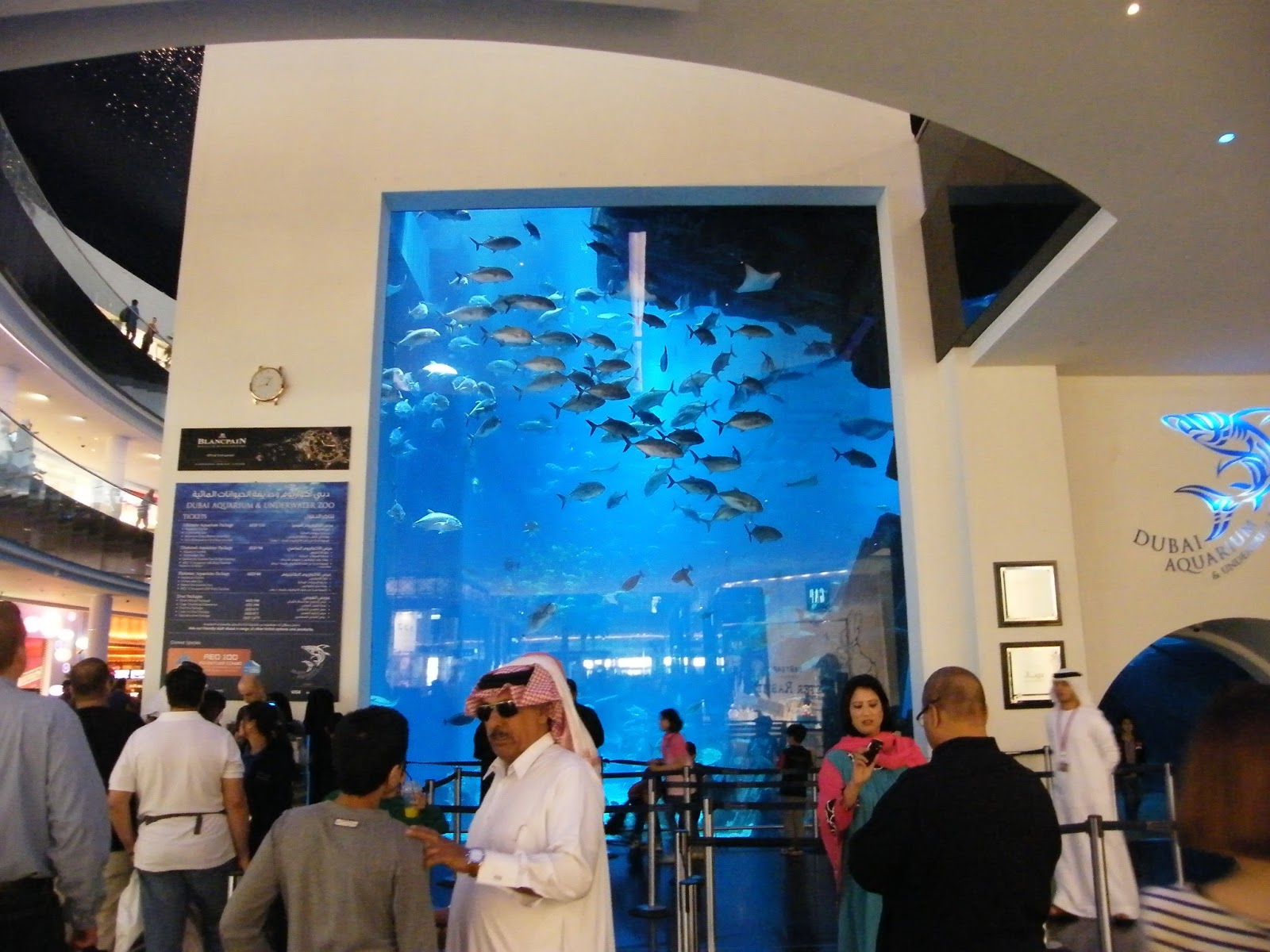 Dubai Mall Aquarium Broke