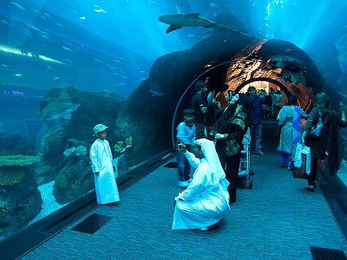 Dubai Mall Aquarium Broke