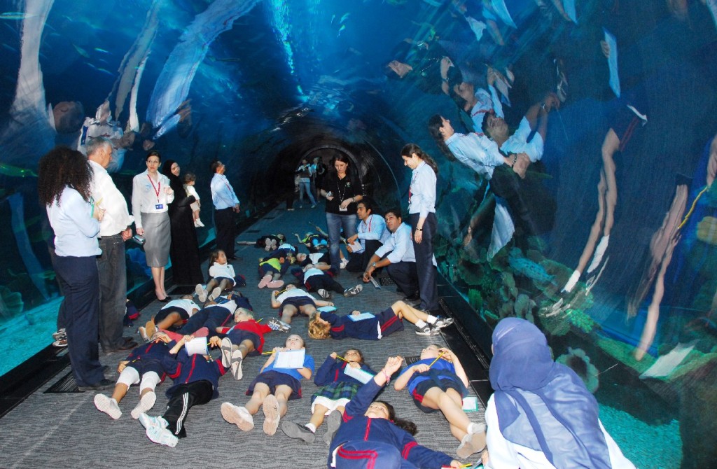 Dubai Mall Aquarium Broke