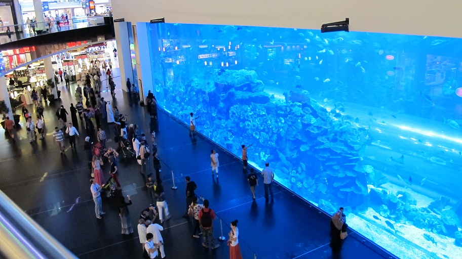 Dubai Mall Aquarium Broke