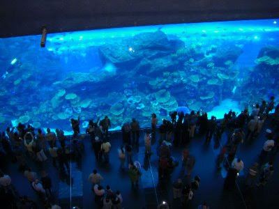 Dubai Mall Aquarium Burst