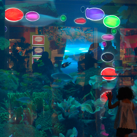 Dubai Mall Aquarium Burst