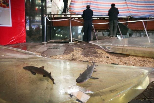 Dubai Mall Aquarium Burst