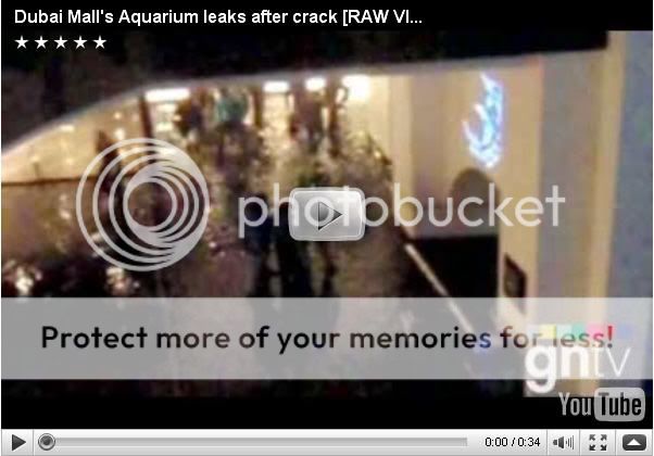 Dubai Mall Aquarium Crack