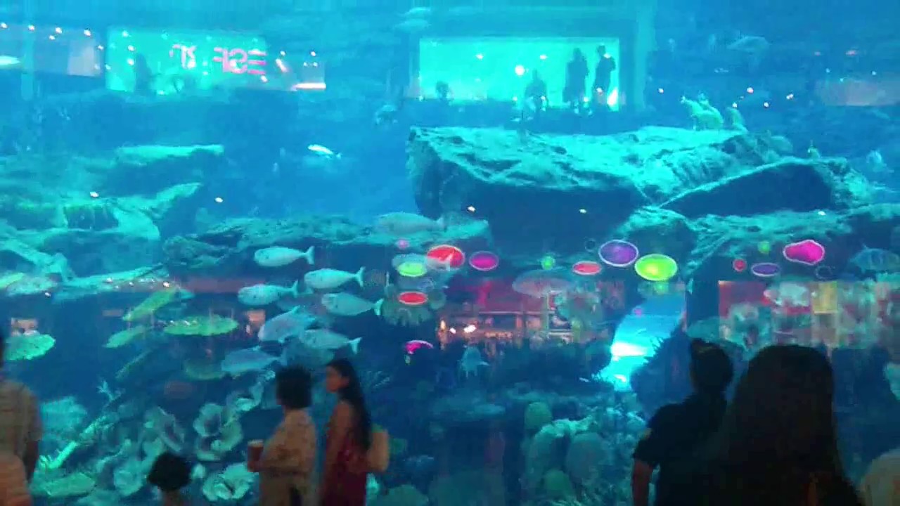 Dubai Mall Aquarium Explodes