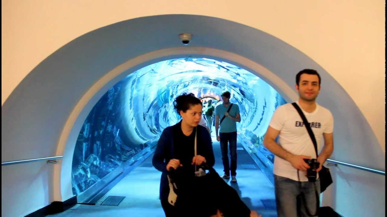 Dubai Mall Aquarium Explodes