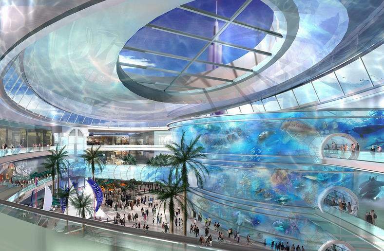 Dubai Mall Aquarium Photo Gallery