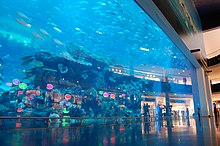 Dubai Mall Shops Directory