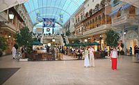 Dubai Mall Shops Guide