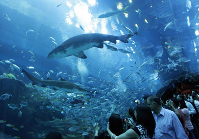 Dubai Mall Shops Name