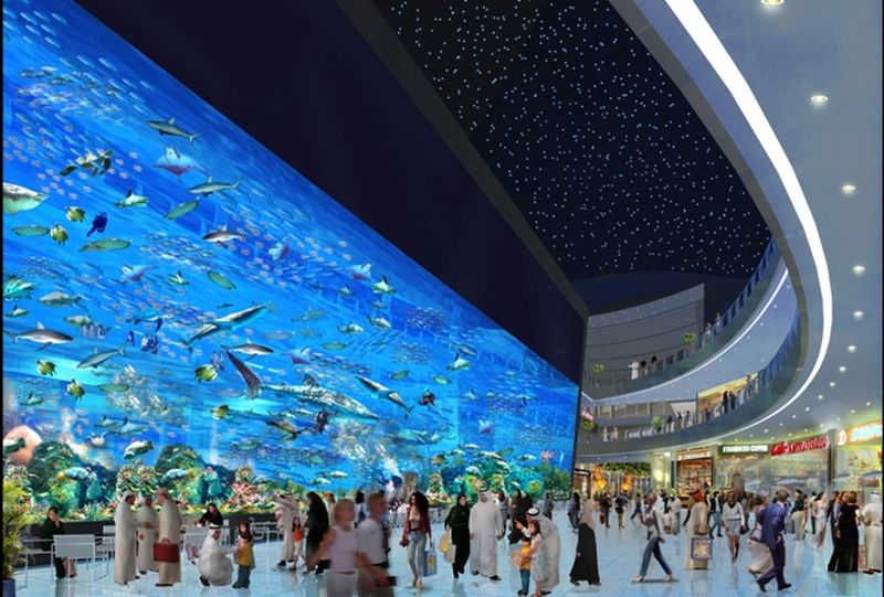 Dubai Mall Shops Pictures