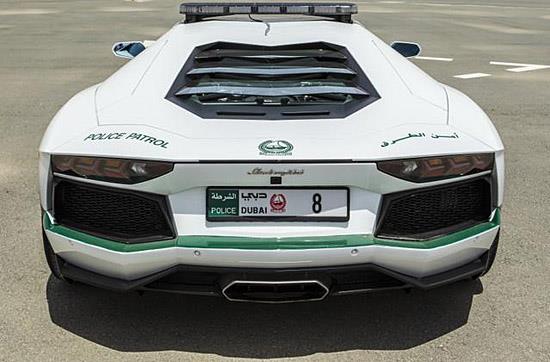 Dubai Police Cars Fleet