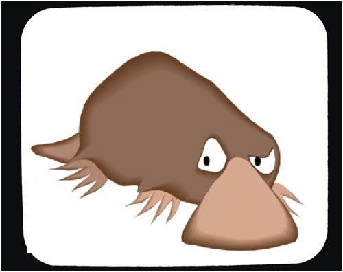 Duck Billed Platypus Cartoon