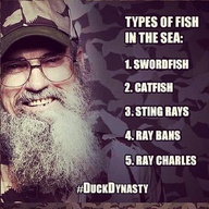 Duck Dynasty Si Quotes Dakota Fanning