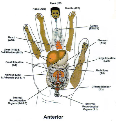 Ear Pressure Points Chart