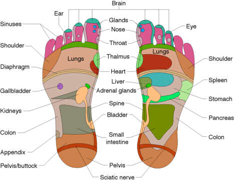 Ear Pressure Points Chart