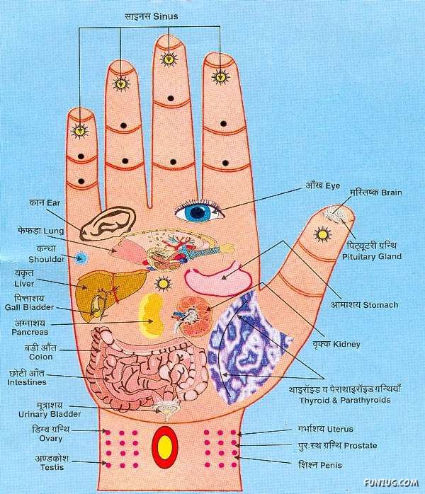 Ear Pressure Points Chart