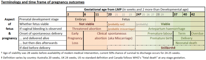 Early Miscarriage Bleeding Duration