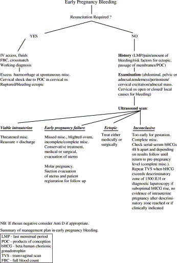 Early Miscarriage Bleeding Duration