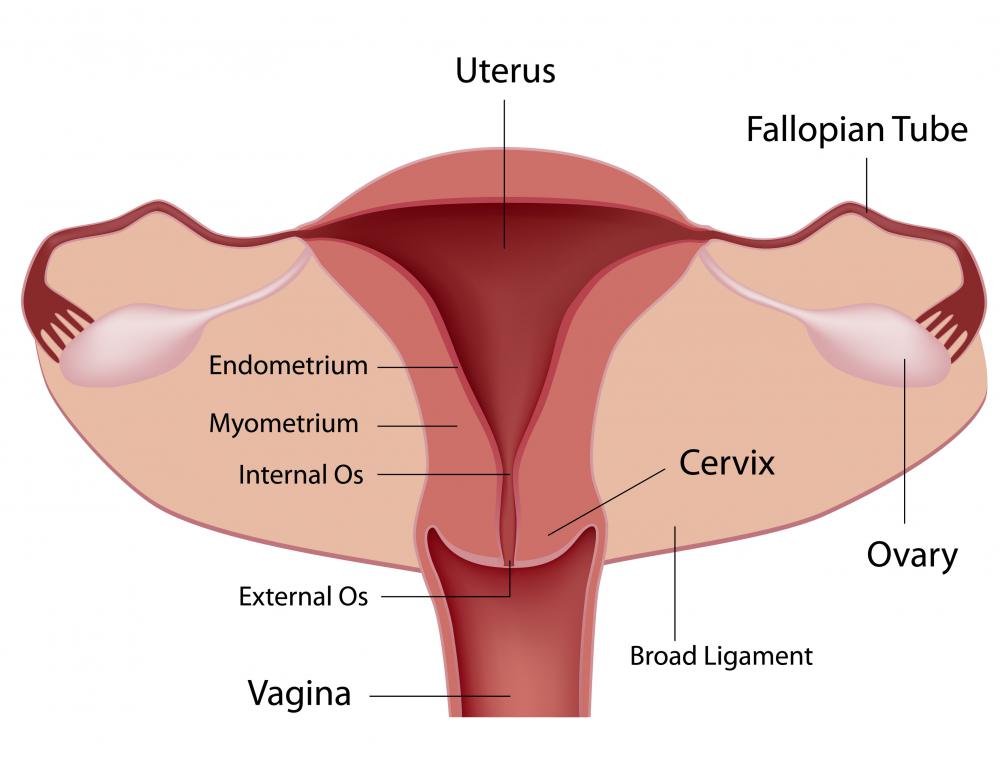 Early Miscarriage Bleeding Lighter Than Period