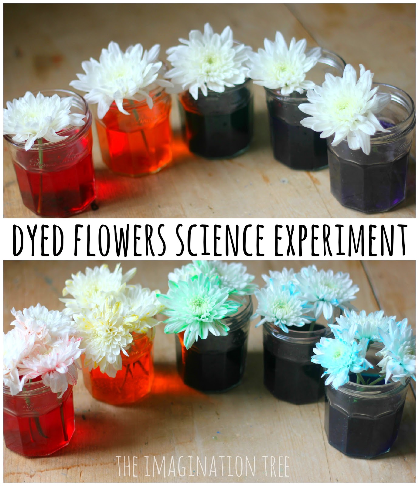 Easy Science Experiments For Kids To Do At School