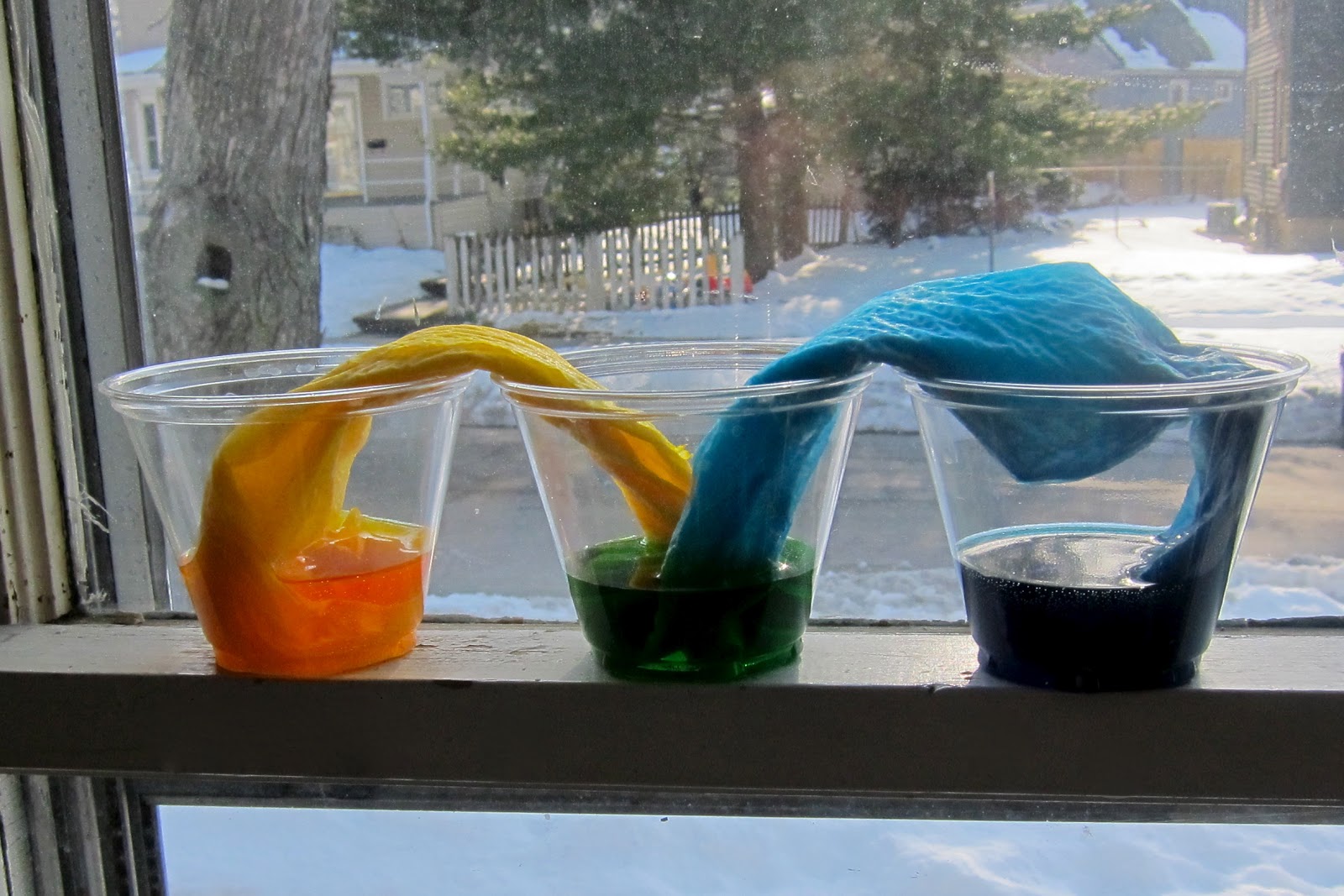 Easy Science Experiments For Kids Using Scientific Method