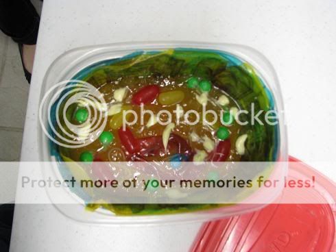 Edible Plant Cell Model Ideas