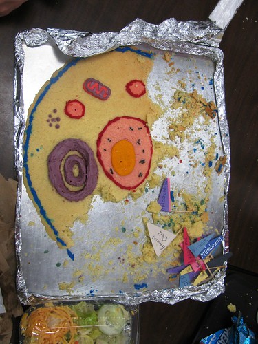 Edible Plant Cell Model Ideas