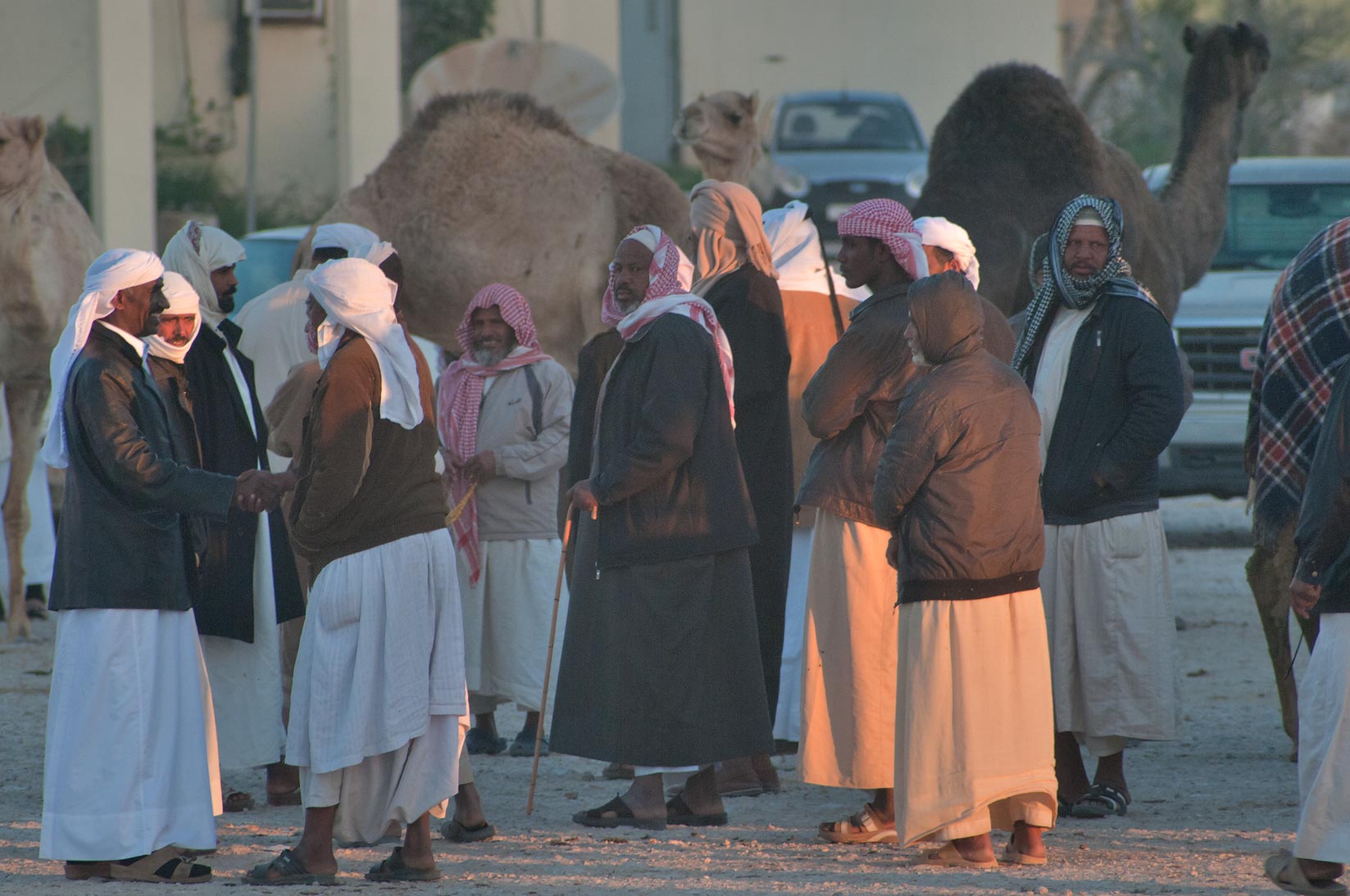 Education City Doha Google Map