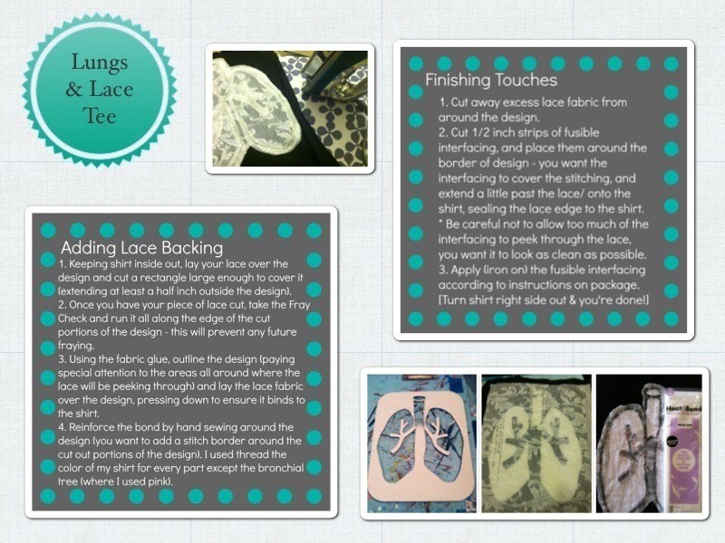 Elephant Lungs Anatomy