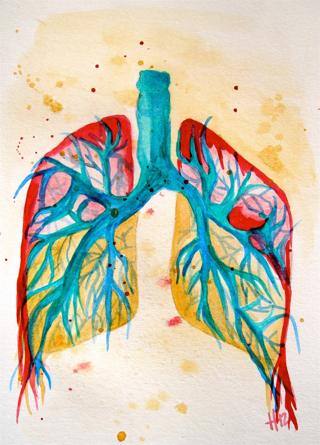 Elephant Lungs Anatomy