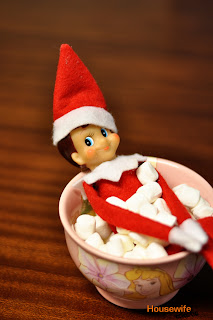 Elf On The Shelf Ideas Funny