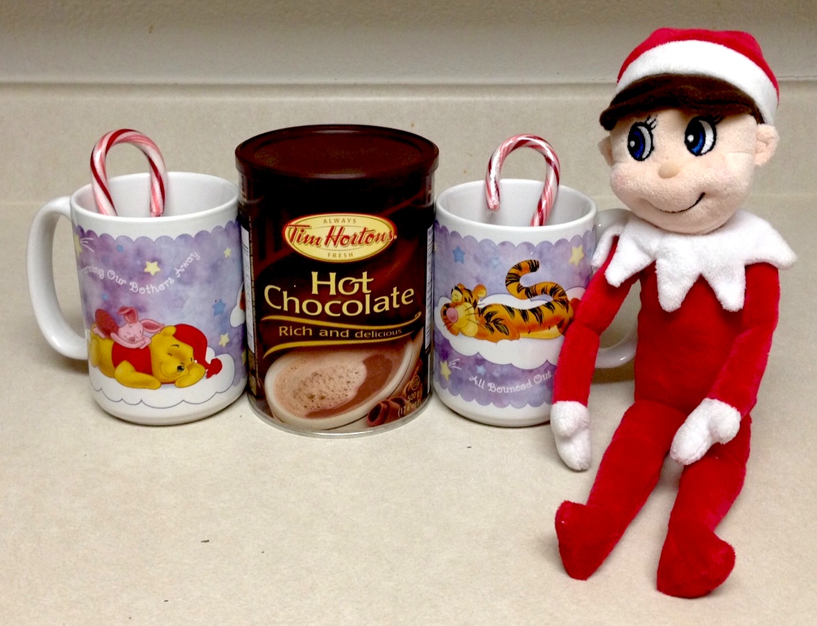 Elf On The Shelf Ideas Pictures