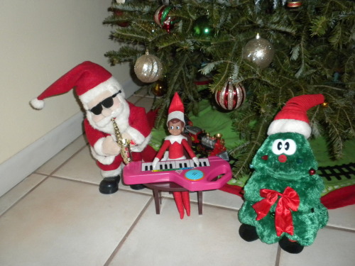 Elf On The Shelf Ideas Pictures