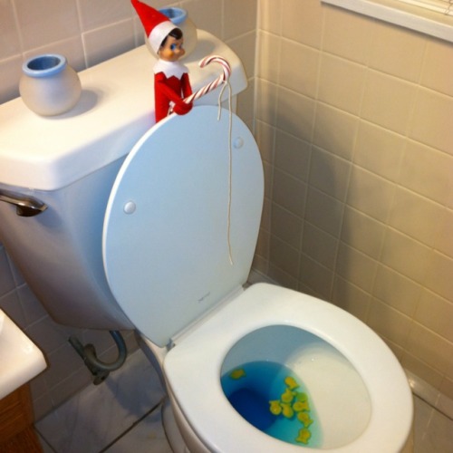 Elf On The Shelf Ideas Pictures