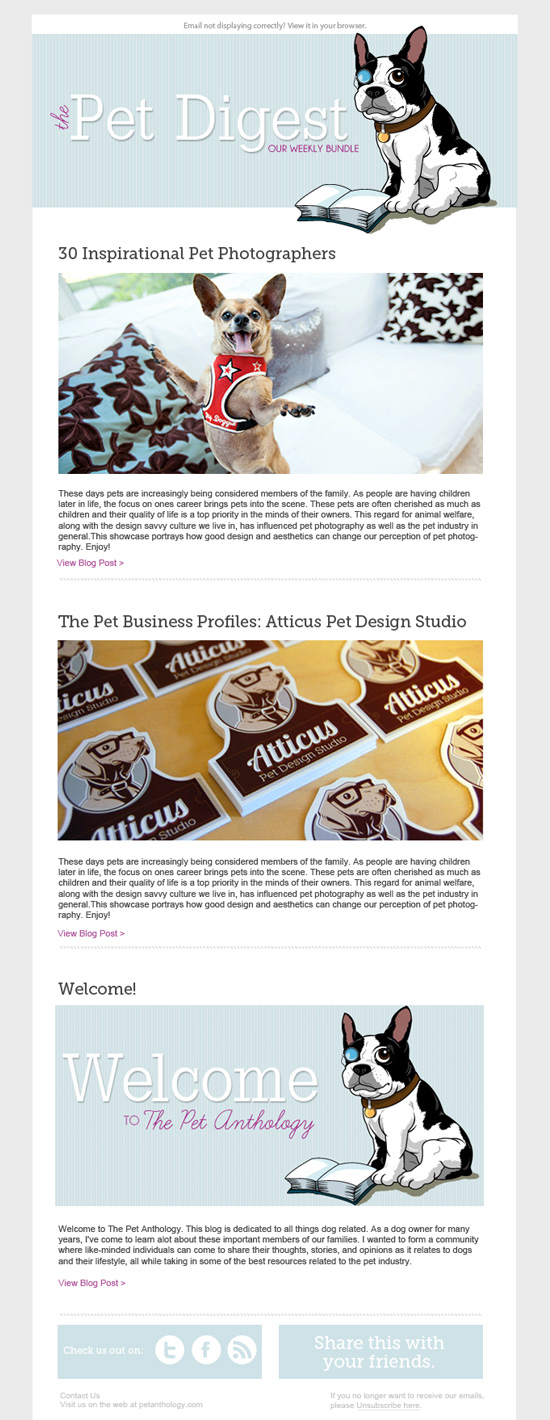 Email Newsletter Layout Design