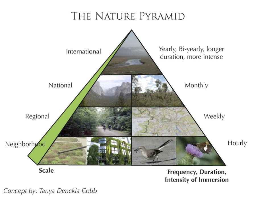 Empty Healthy Living Pyramid