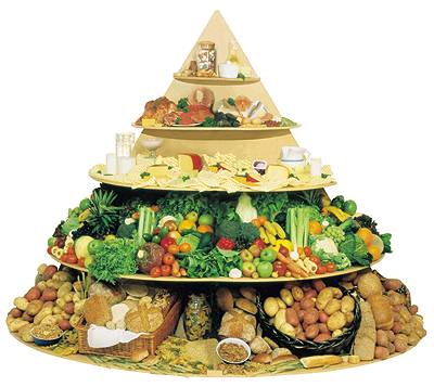 Empty Healthy Living Pyramid